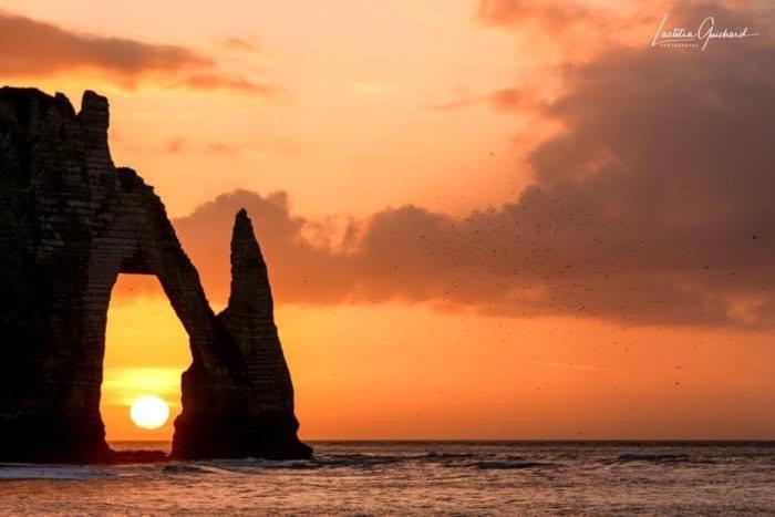 Comme Un Poisson Dans L'Eau Villa Étretat Dış mekan fotoğraf