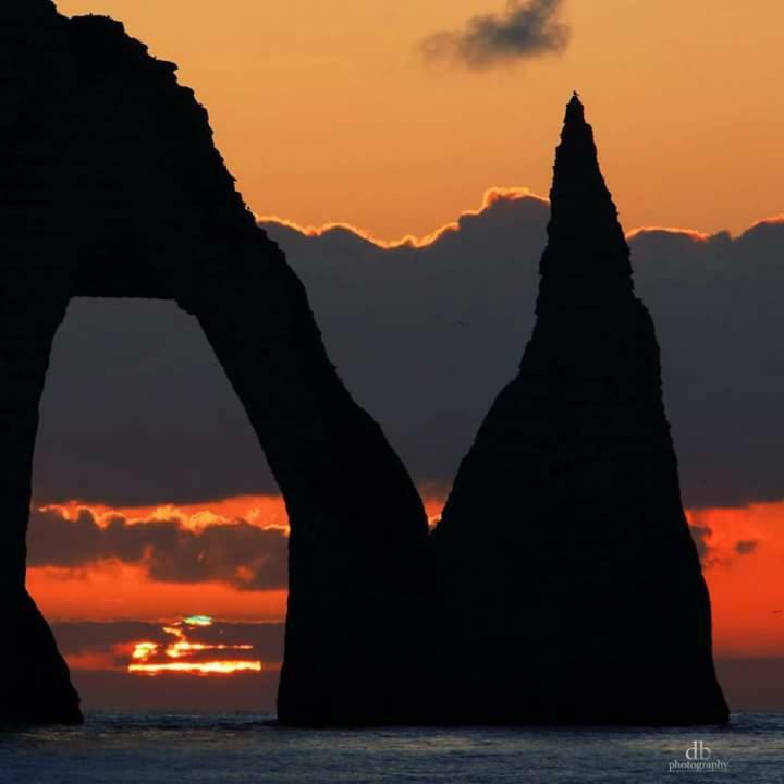 Comme Un Poisson Dans L'Eau Villa Étretat Dış mekan fotoğraf